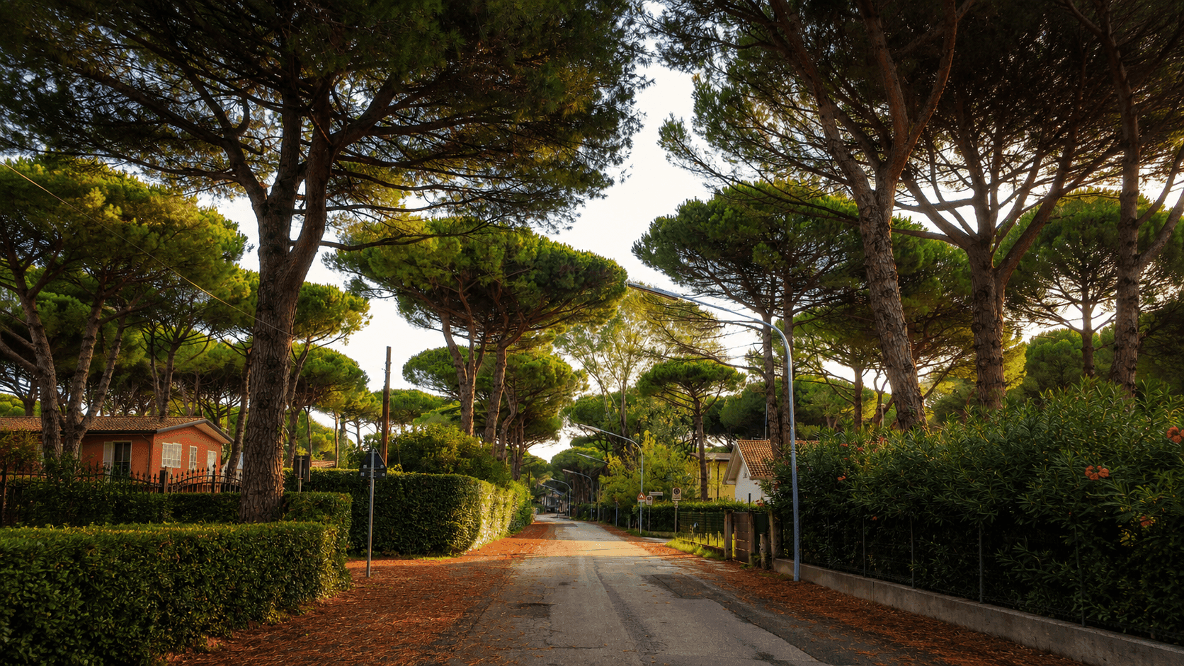 Natura e Pineta